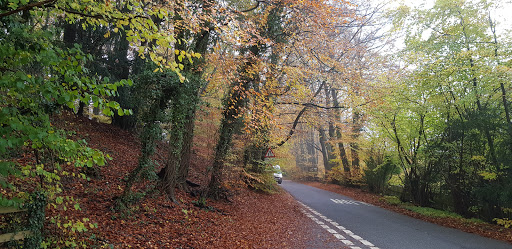Chinnor Hill - Thumbnail