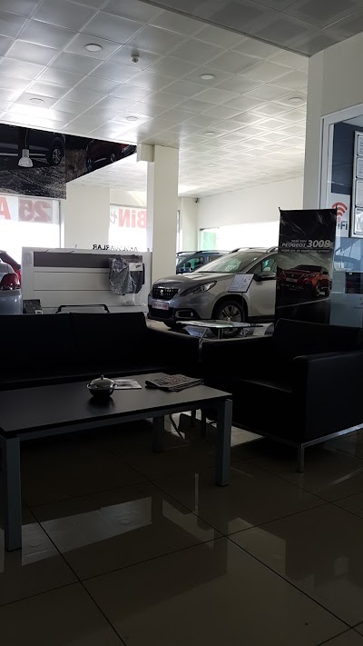 Photos of Peugeot Showroom Lawn Service