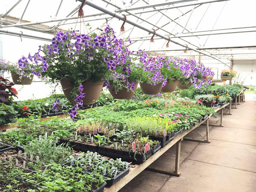 Prairie Petals Greenhouse - Thumbnail