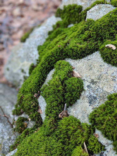 Cohn Farm - Thumbnail