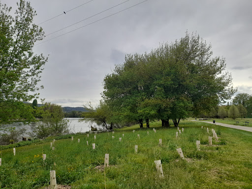 Parco della Confluenza Accesso con posteggio - Thumbnail