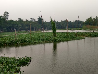 Photos of Jame Mosque,East Bampara