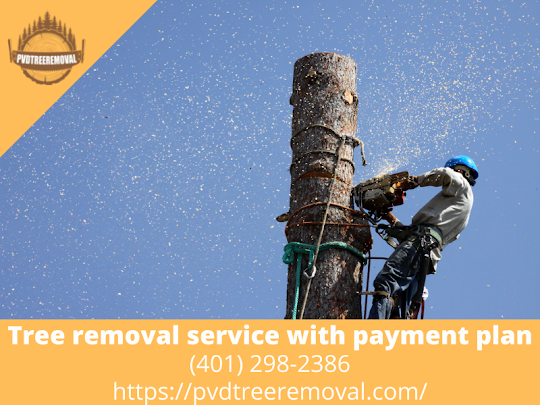 Tree Removal Service