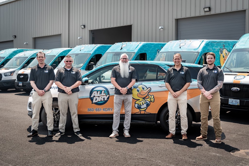 All Dry Services Providence: Water, Fire, Mold photo