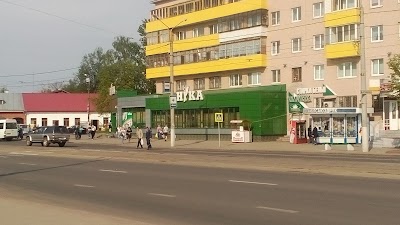 Photos of Nika