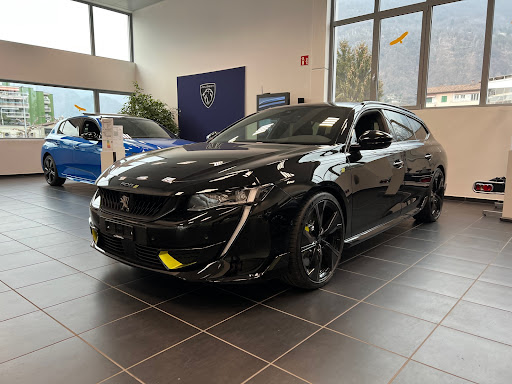 Bertoni Automobili SA / Renault-Nissan-Jeep-Peugeot - Thumbnail