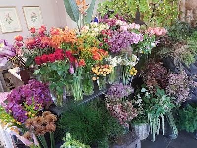 Photos of L' Euphorbia