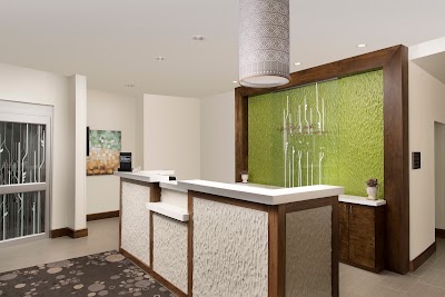Photos of Hilton Garden Inn San Antonio Airport South