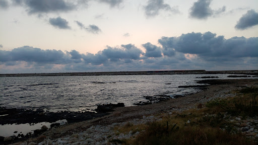 Greetings from Mola di Bari - Thumbnail