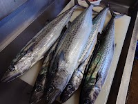 ひよし酒店 立呑み倶楽部