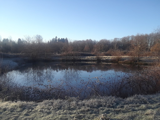 Northpointe Park - Thumbnail