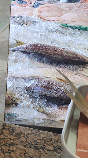 Fancy Fish - Visual