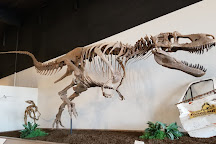 Royal Gorge Dinosaur Experience, Cañon City, United States