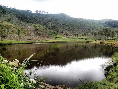 Photos of Lake Richmond