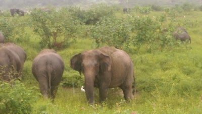 Photos of Hennaanigala Cave Viharaya