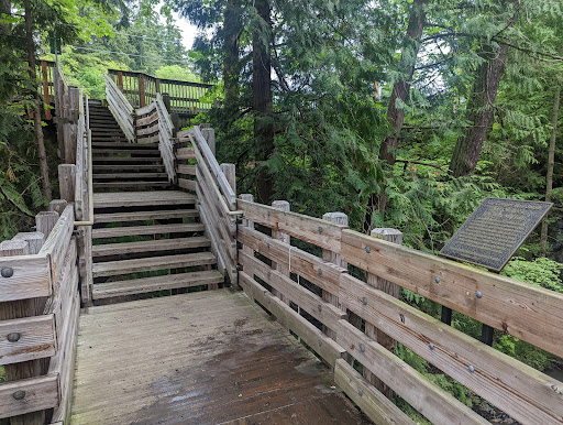 Cedar Mill Falls - Visual