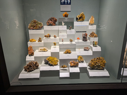 Smithsonian National Museum of Natural History Store - Thumbnail