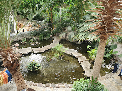 Accrobranche Center Parcs Les Hauts de Bruyères - Thumbnail