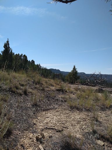 Tongue River Breaks Hiding and Riding Area - Thumbnail