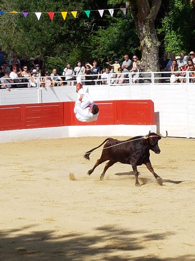 Arènes à Bégaar - Thumbnail