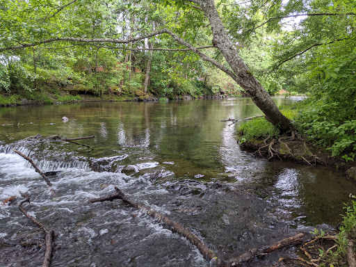 Delbert Hunter Arboretum and Botanical Garden - Thumbnail