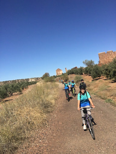 Formación Profesional Al-Ándalus Linares