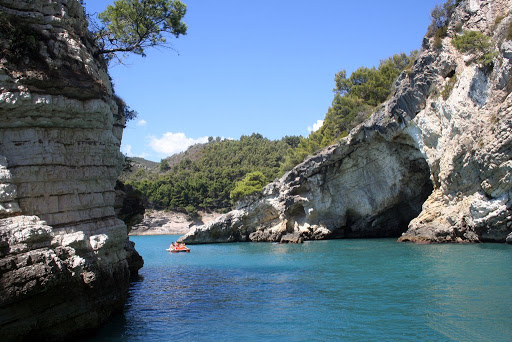 Gargano Ok - Visual