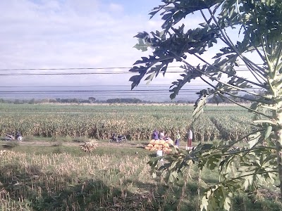 Photos of Stasiun Ngadiluwih
