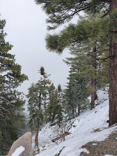 Lakeview Point Scenic Overlook - Thumbnail
