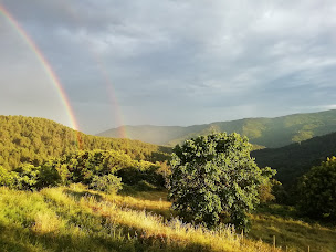 Photo n°19 de Lou Rey - Eco Hameau : Accueil de groupes - Gîte - Chambres et table d'hôtes, Maison d'hôtes écologique. à Le Collet-de-Dèze (Chambre d'hôtes)