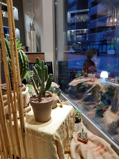 Cactus &Coffee - Thumbnail