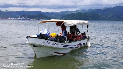 Photos of TRANSPORTES EL CHATO