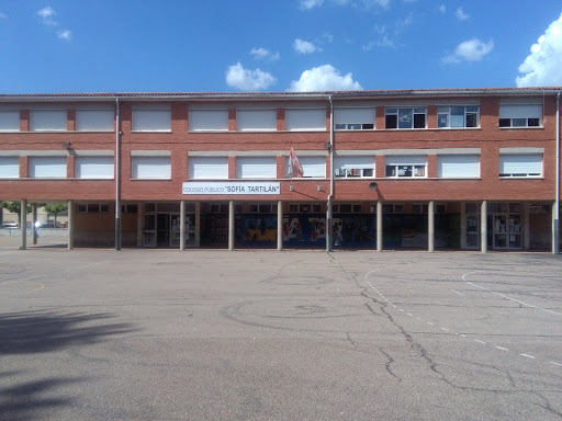 Sofia Public School Tartilan - Visual