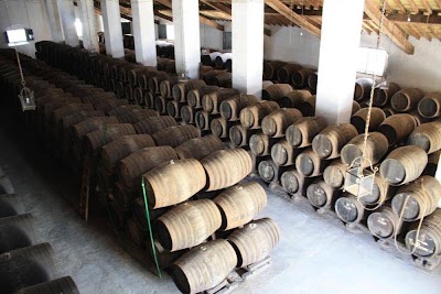 Photos of Bodegas F. Salado