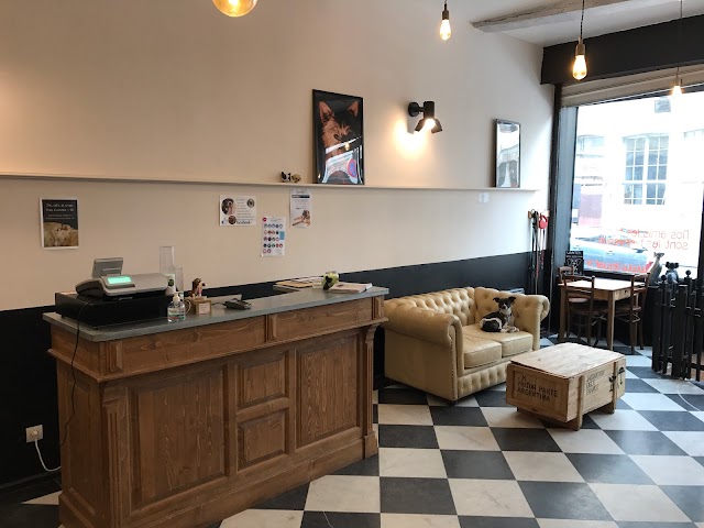 Le Waf Café Chiens