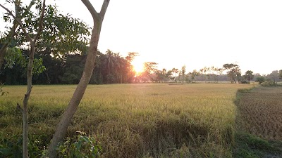 Photos of মাইজ উদ্দিন ভুঞা বাড়ী