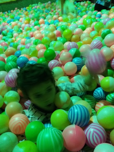 Photos of Afshin Park