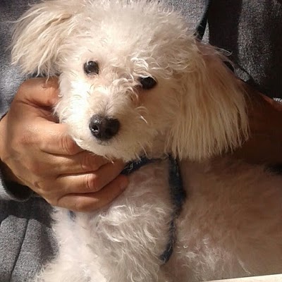 Photos of CAV Chivilcoy Asistencial Veterinary Center