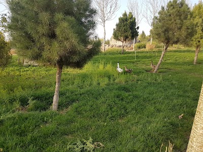 Photos of Zoo Safadasht
