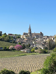 Photo n°3 de Merlot et Moi Winetours à Saint-Laurent-des-Combes (Agence de visites touristiques)
