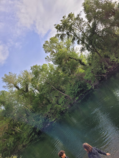 Ile de tabarka - Thumbnail
