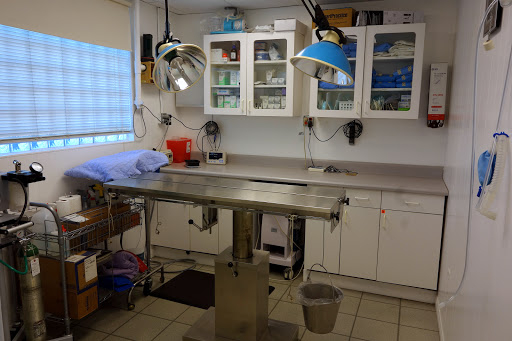Centinela Animal Hospital - Thumbnail