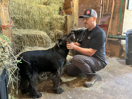 E Mobile Veterinary Service - Thumbnail