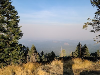 Marys Peak Campground