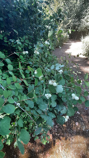 Giardino Aymerich - Thumbnail