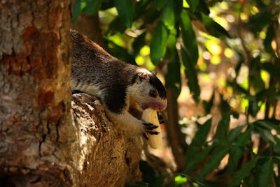 Photos of Asiri Kanda Purana Rajamaha Viharaya | අසිරි කන්ද පුරාණ රජමහා විහාරය