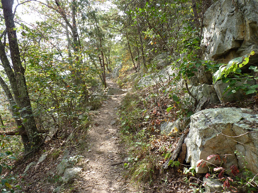 James River Face Wilderness