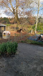 Photo n°2 de Les Terres d'Abalone à Cabanac-et-Villagrains (Éleveur de chiens)