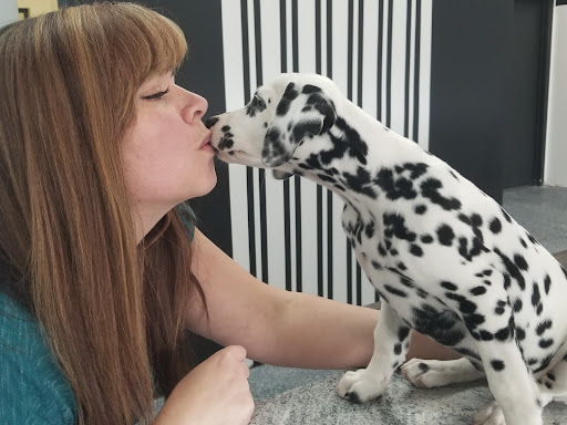 Pawsh