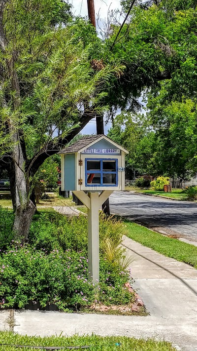 Morrow Avenue Little Free Library (just books)